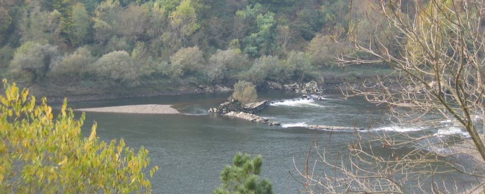 
            Фотография Риберы