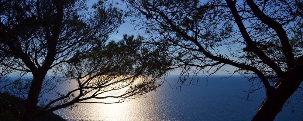 Фотография Популонии