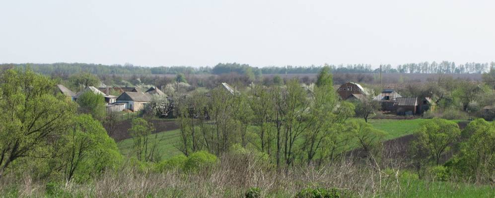 Фотография Русской Березовки