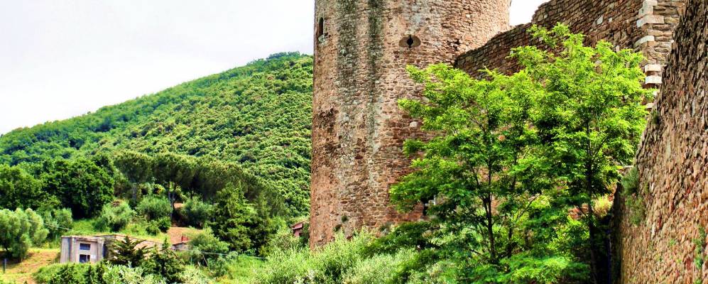 
            Фотография Скарлино