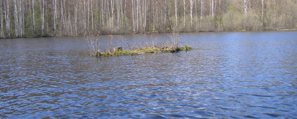 Фотография Больших Гарей