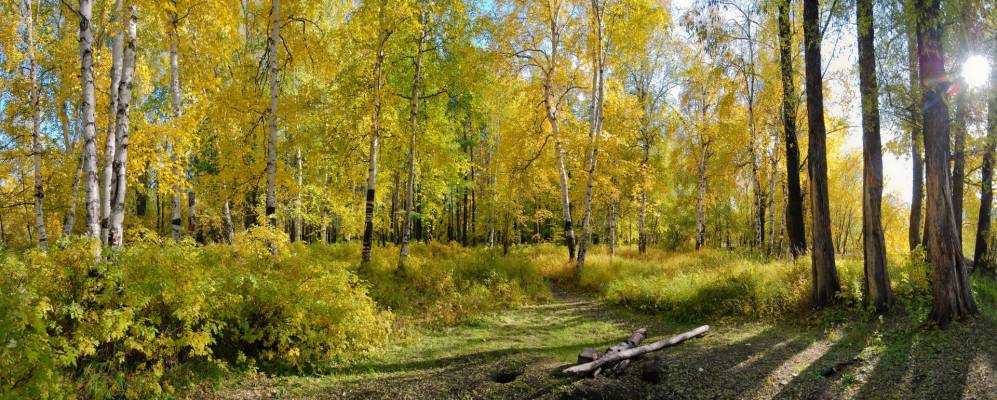 
            Фотография Руднево