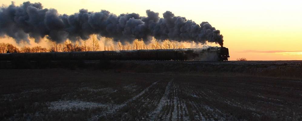 
            Фотография Виттлезей