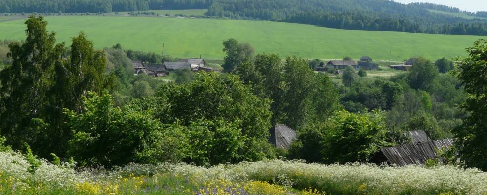 
            Фотография Куштомака