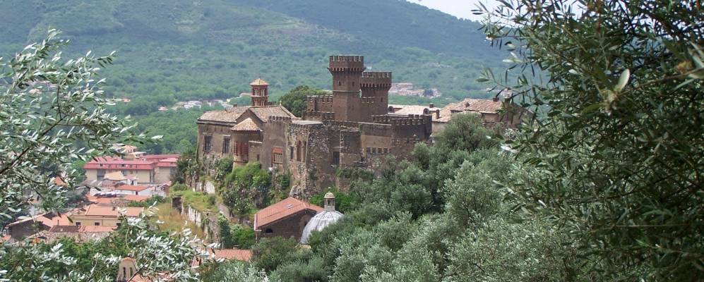 
            Фотография Лавра