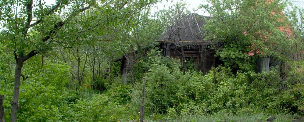 
            Фотография Прудских Выселок