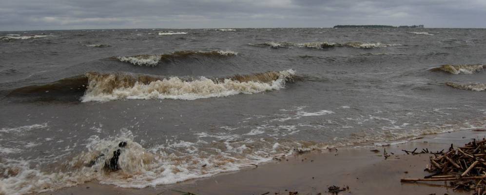 
            Фотография Могильцы