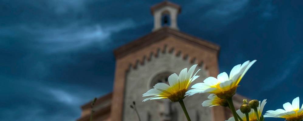 
            Фотография Альгорфы