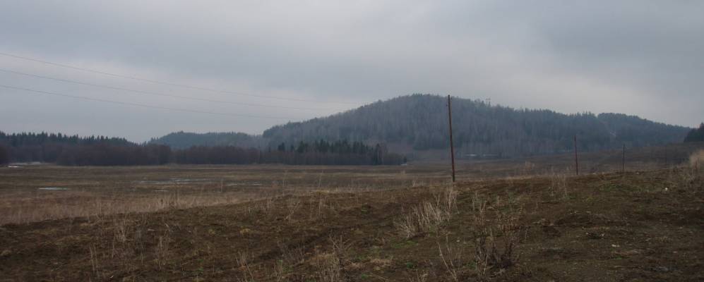 
            Фотография Зобнина