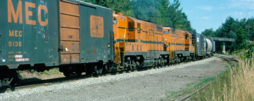 
            Фотография Пальмиры