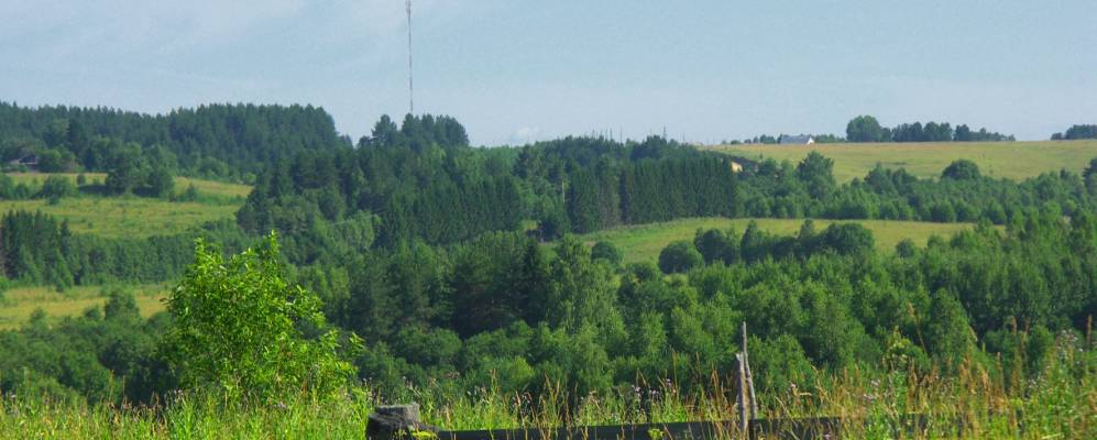 
            Фотография Олиховской