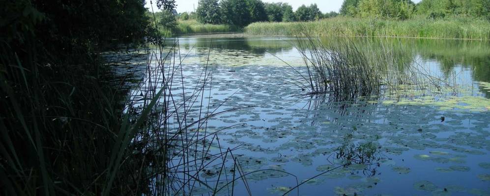 
            Фотография Отделения Коммунара