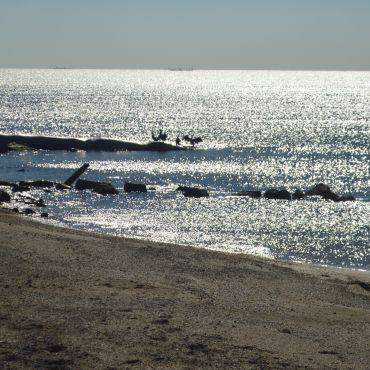 Должанская