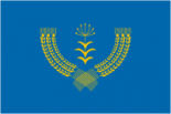 Флаг Туймазов