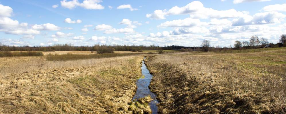 Фотография Турьево