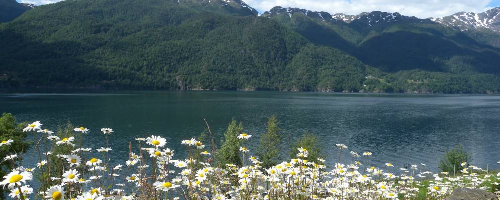 
            Фотография Теиглэнда