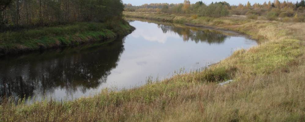 
            Фотография Владыкино