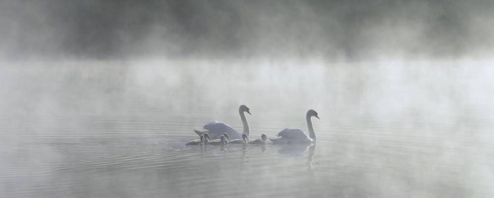 Фотография деревни Бояры