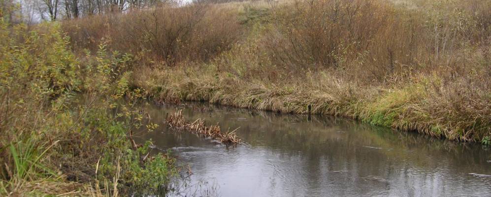 
            Фотография деревни Прудки