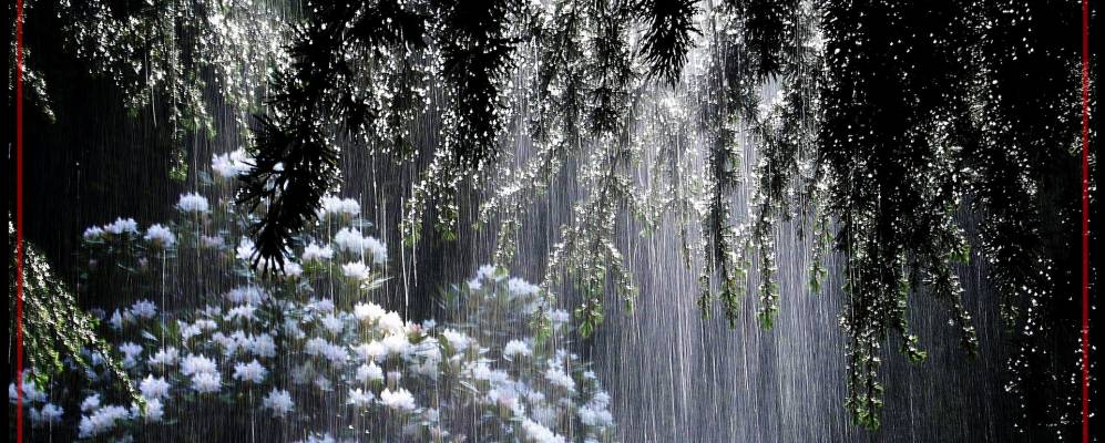 
            Фотография Ларачы