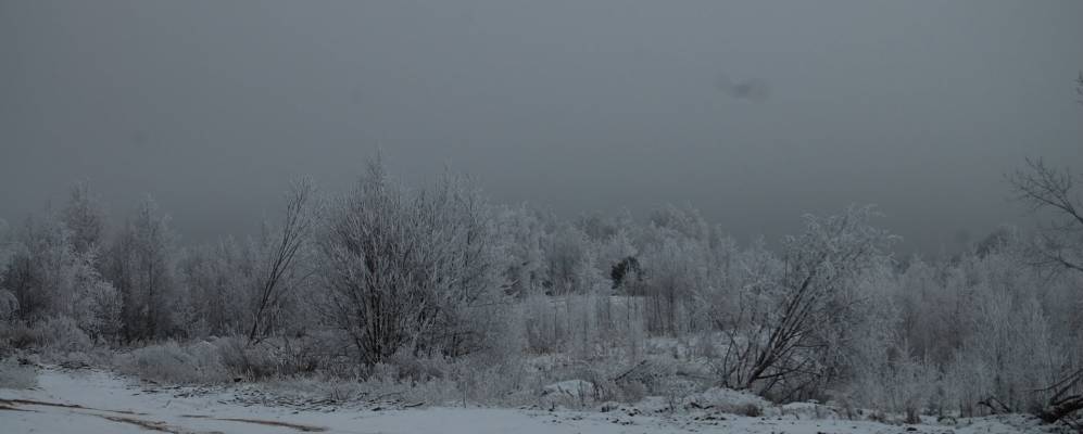 
            Фотография Драготины