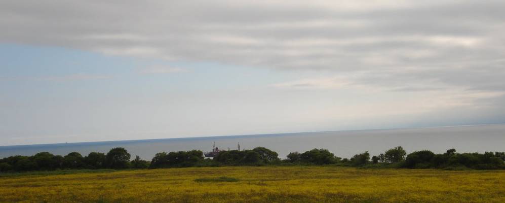 
            Фотография Пригородного