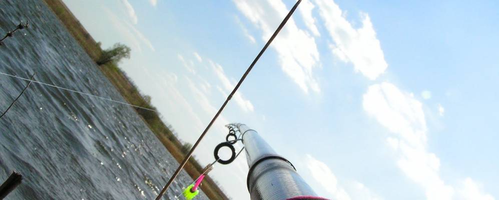 
            Фотография Красной Рыбницы