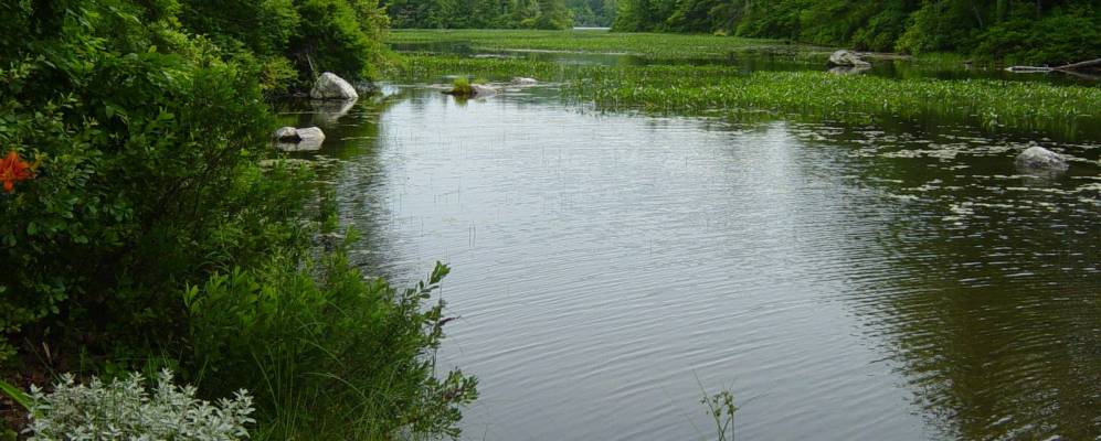 
            Фотография Актона