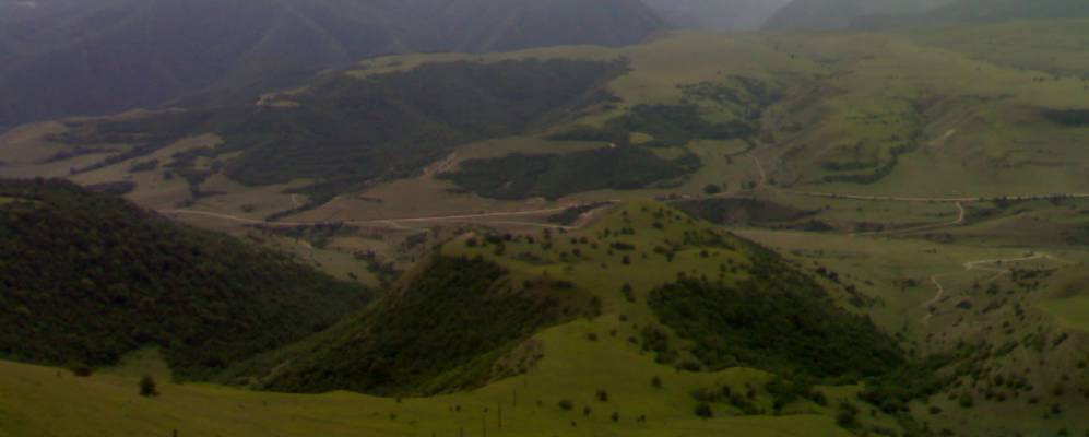 
            Фотография Лаки