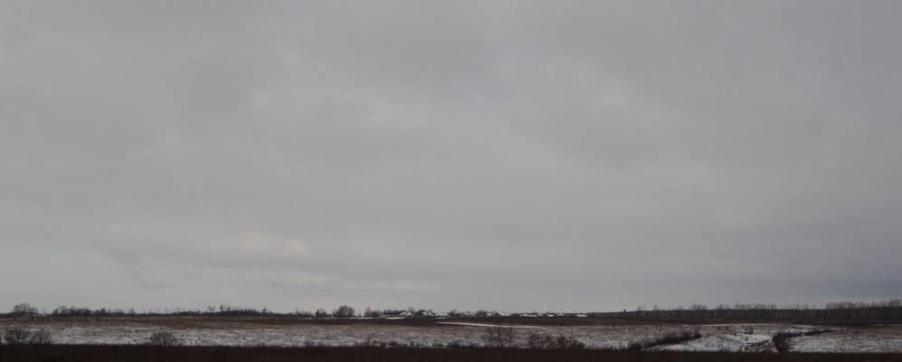 
            Фотография Никифоровского