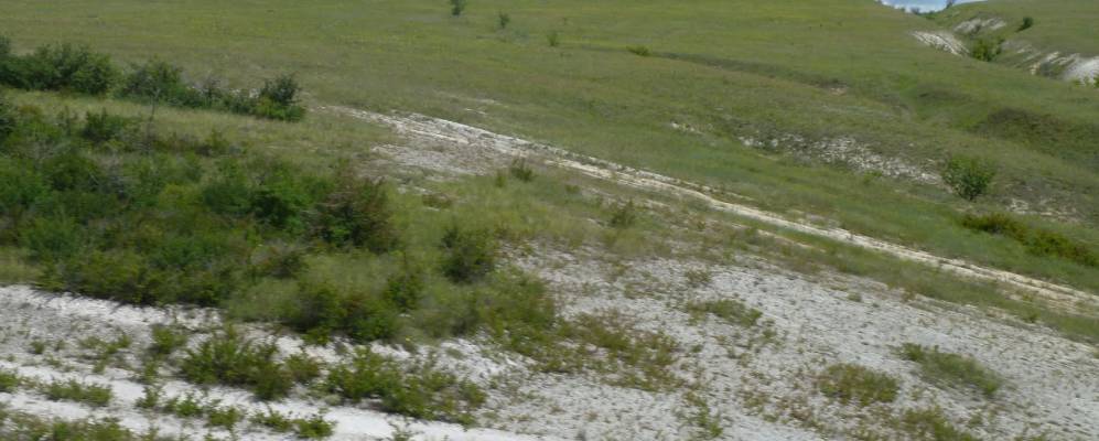 
            Фотография Ковалево