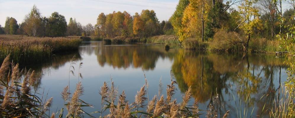 
            Фотография Хмельной