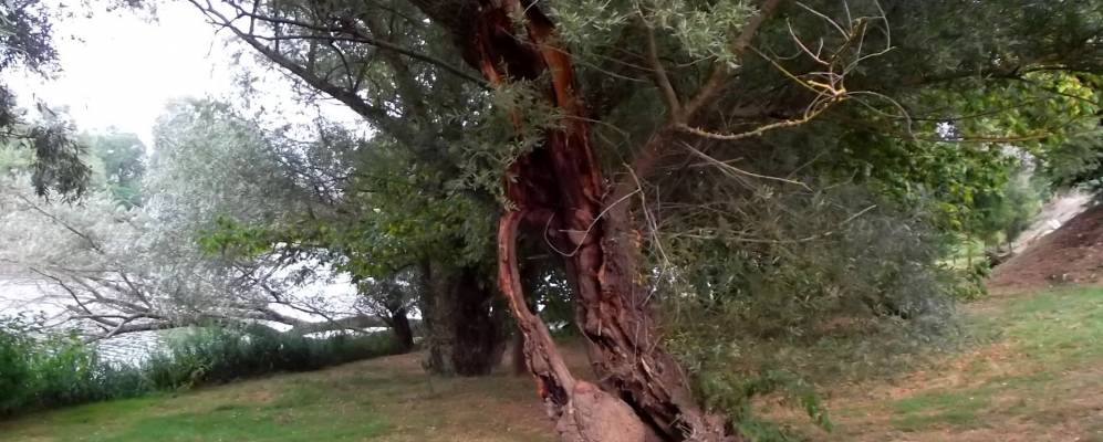 
            Фотография Мулье-Э-Вильмартен