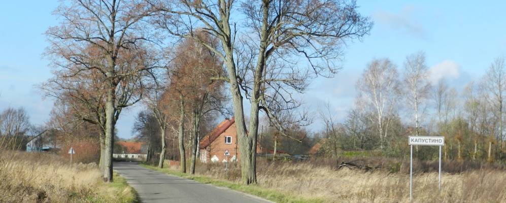 
            Фотография Отрадного