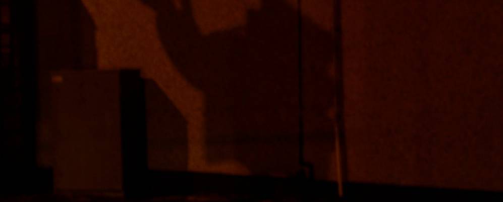 
            Фотография Нестон