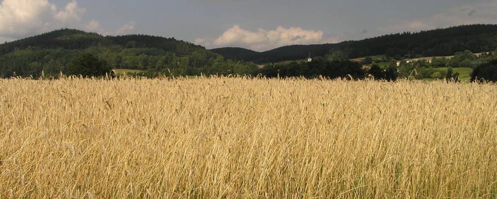 
            Фотография Харбах