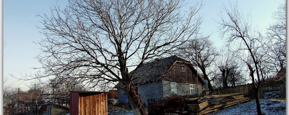 
            Фотография Тернавки