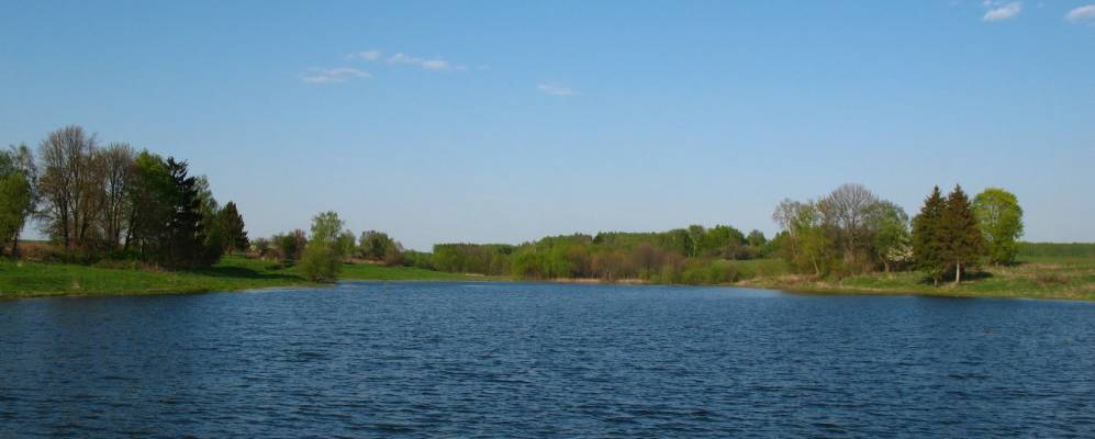 
            Фотография Будянского