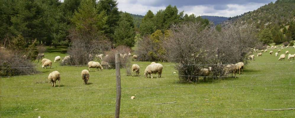 
            Фотография Пералехос-де-лас-Тручас