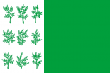 Флаг Богородицка