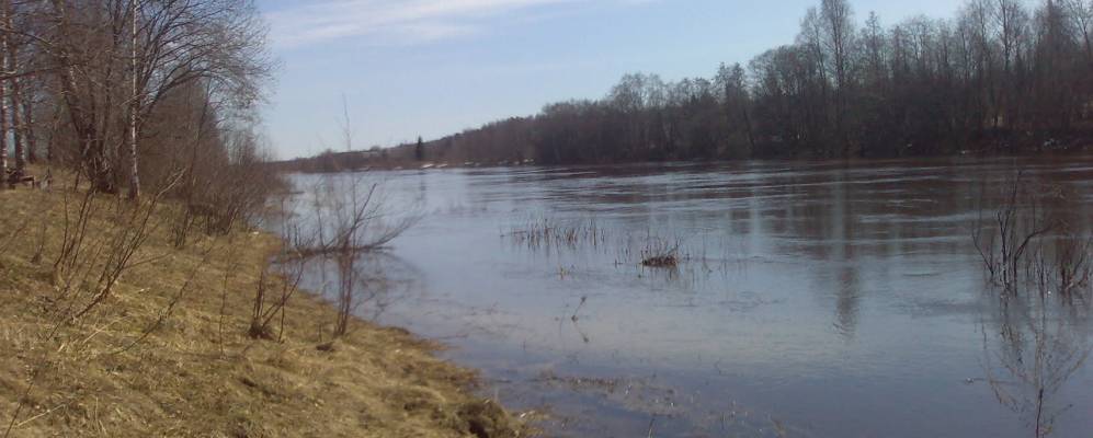 
            Фотография Чемихино