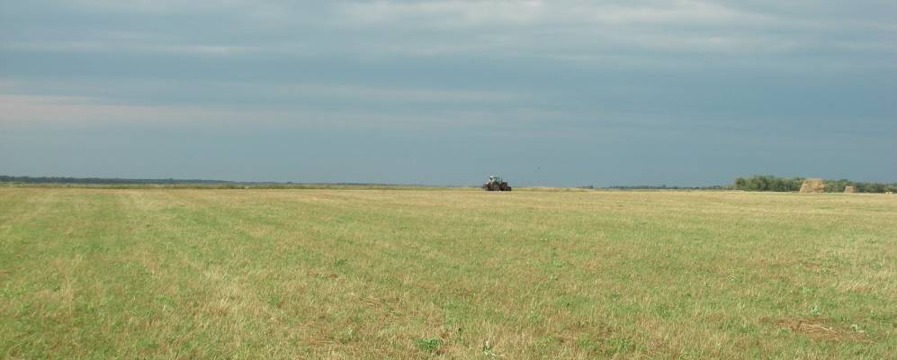 Фотография Кокуя