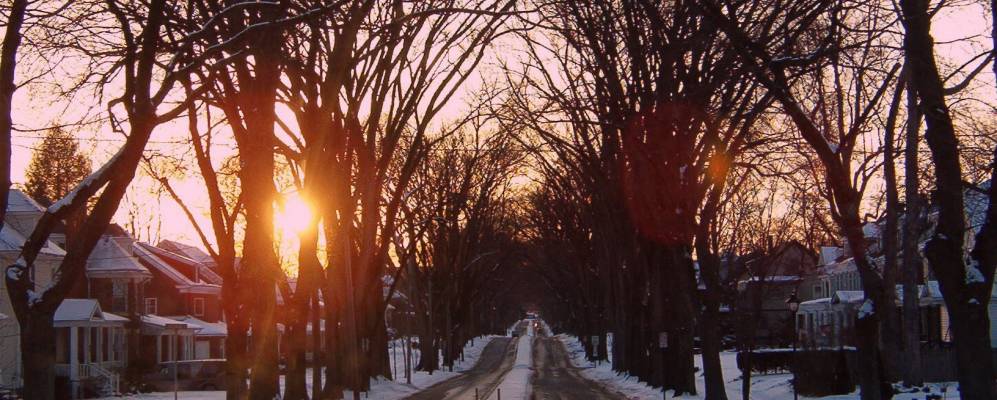 
            Фотография Вестмонта