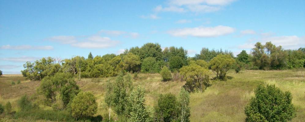 
            Фотография Башево