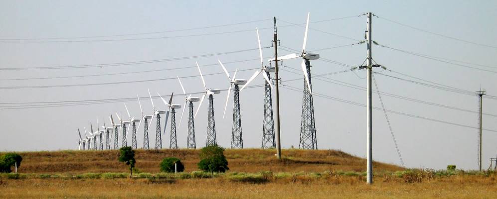 
            Фотография Шишкино