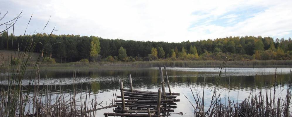 
            Фотография Суртаихи