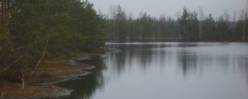 Фотография Опсалы