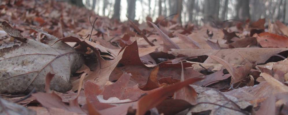 
            Фотография Глен Гарднера