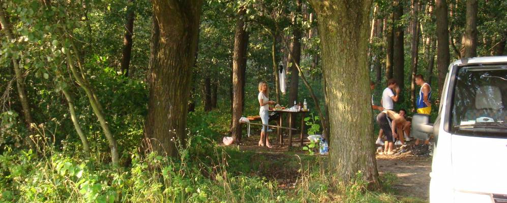 
            Фотография Гоголева