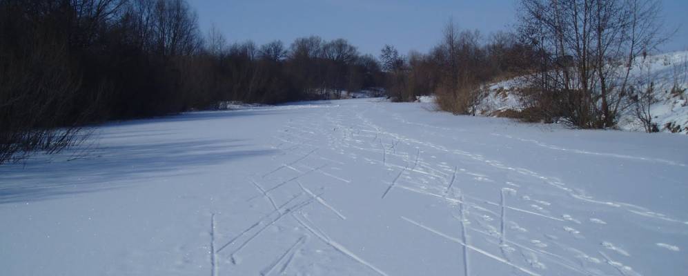 
            Фотография Южного